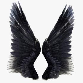 United States Capitol 3D model